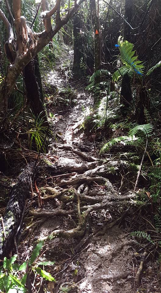 Photo Credit: Jenny Hurst