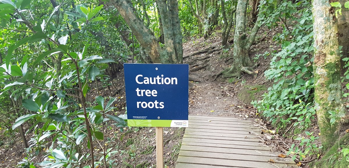 So Close To Going&nbsp;Far