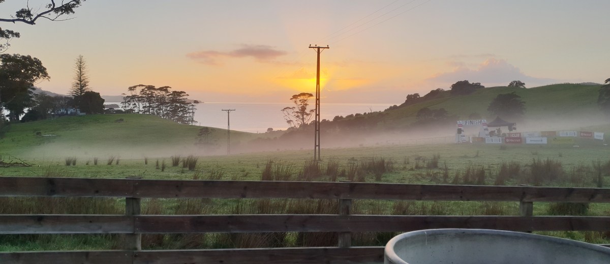 An Eye Opening At&nbsp;Waitawa