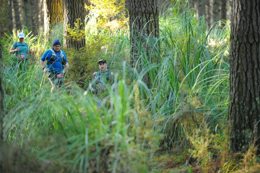 Photo credit: Photos4Sale